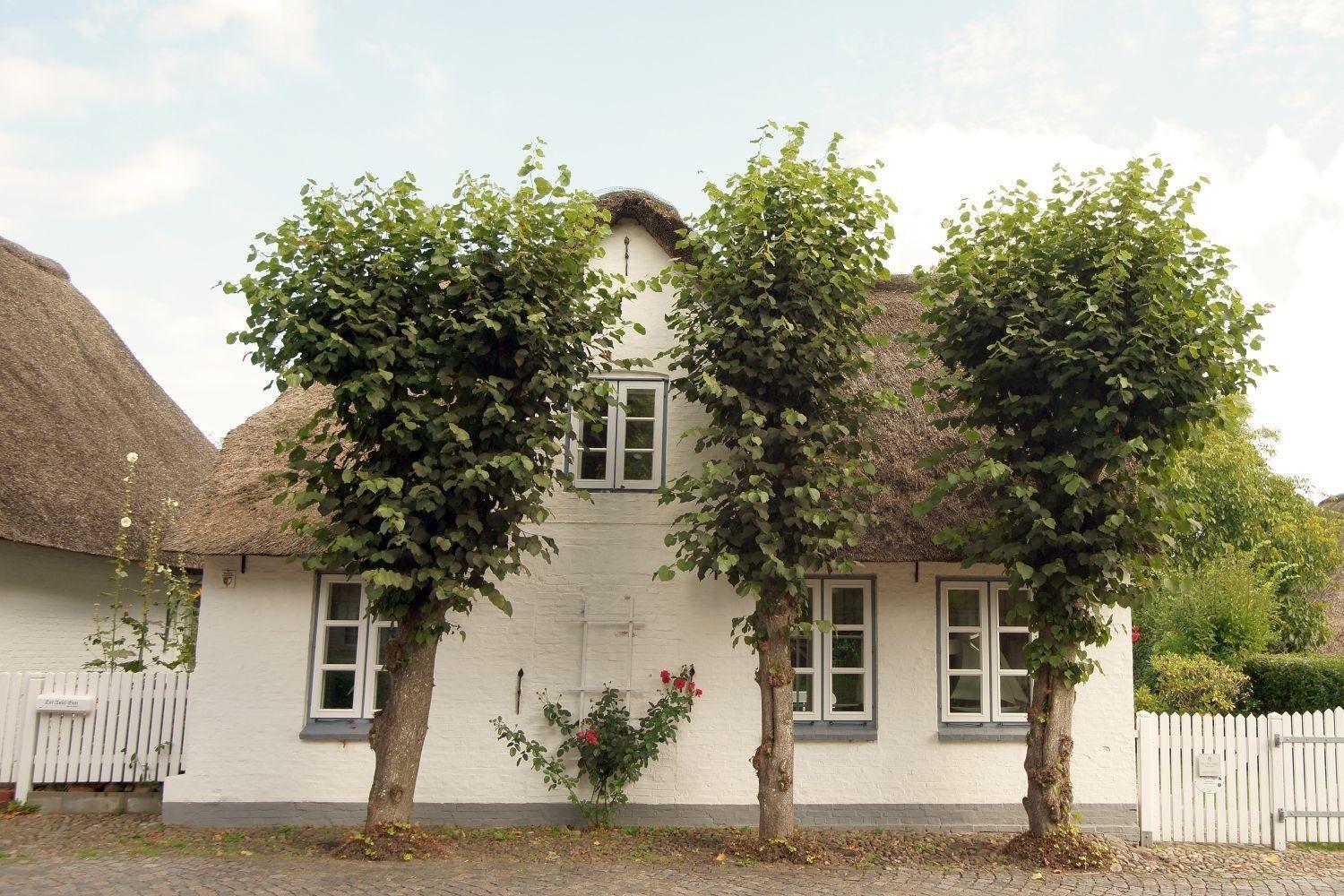 Witje Hues Villa Boldixum Kültér fotó